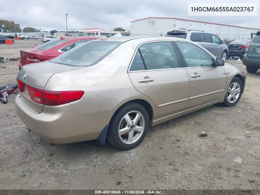 2005 Honda Accord 3.0 Ex VIN: 1HGCM66555A023767 Lot: 40810945