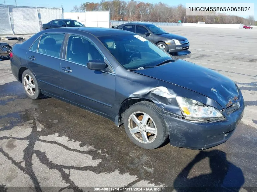 2005 Honda Accord 2.4 Ex VIN: 1HGCM55865A065824 Lot: 40831714