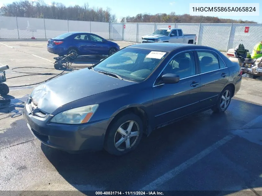 2005 Honda Accord 2.4 Ex VIN: 1HGCM55865A065824 Lot: 40831714