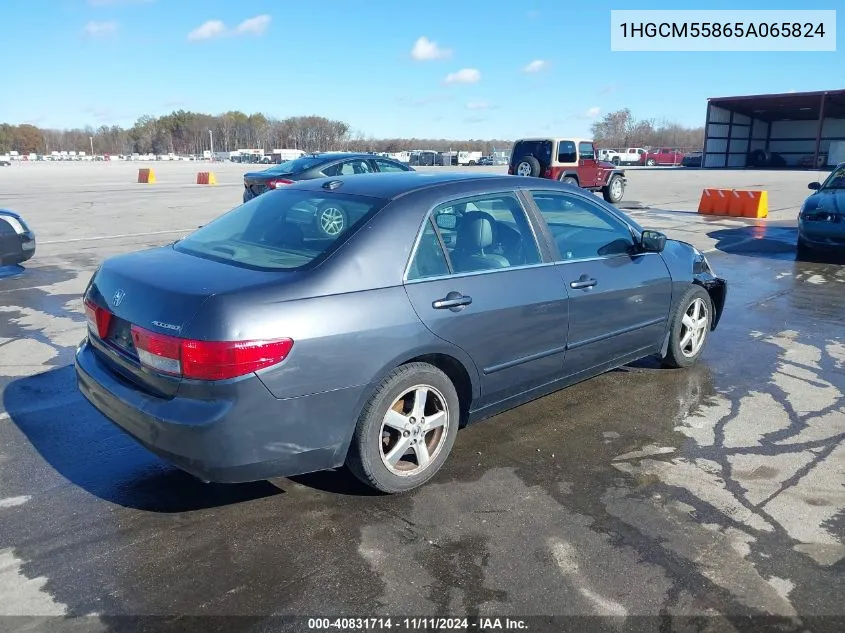 2005 Honda Accord 2.4 Ex VIN: 1HGCM55865A065824 Lot: 40831714