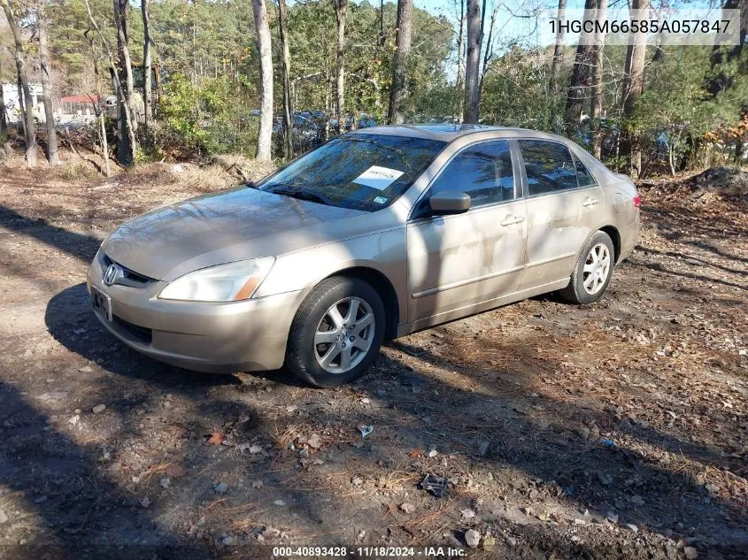 2005 Honda Accord Ex VIN: 1HGCM66585A057847 Lot: 40893428