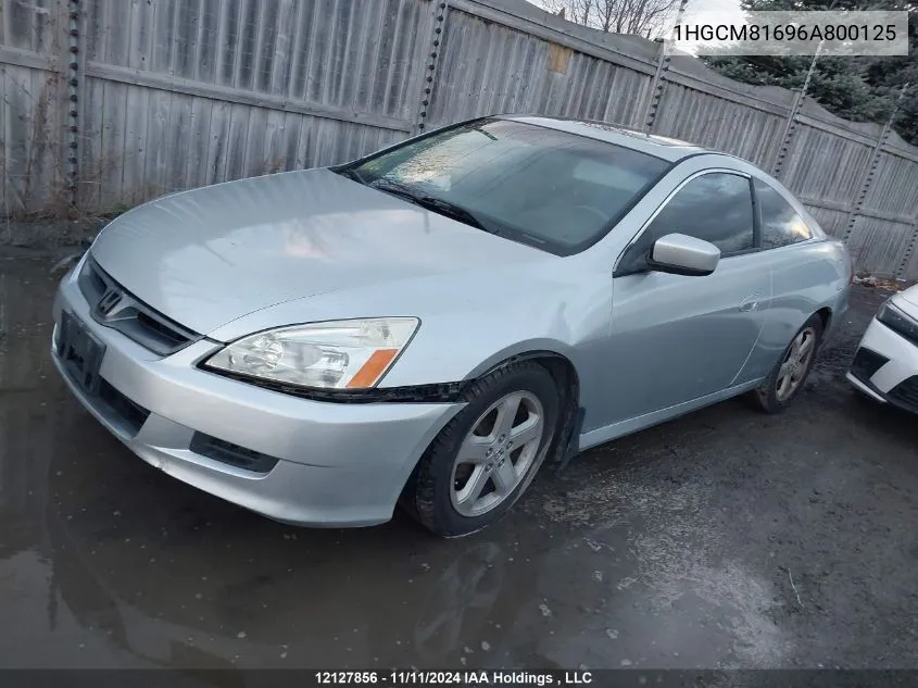 2006 Honda Accord Cpe VIN: 1HGCM81696A800125 Lot: 12127856