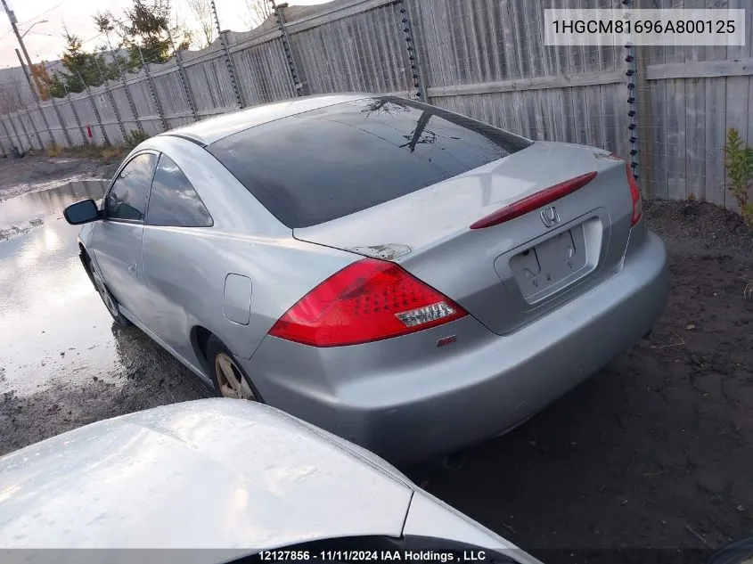 2006 Honda Accord Cpe VIN: 1HGCM81696A800125 Lot: 12127856