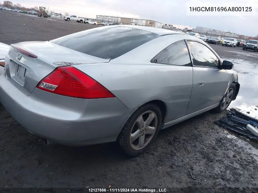 2006 Honda Accord Cpe VIN: 1HGCM81696A800125 Lot: 12127856