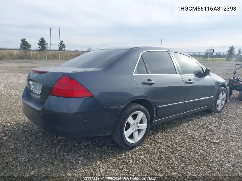 2006 Honda Accord Sdn VIN: 1HGCM56116A812393 Lot: 12137212