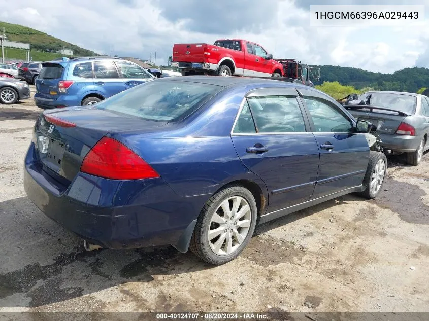 2006 Honda Accord 3.0 Lx VIN: 1HGCM66396A029443 Lot: 40124707