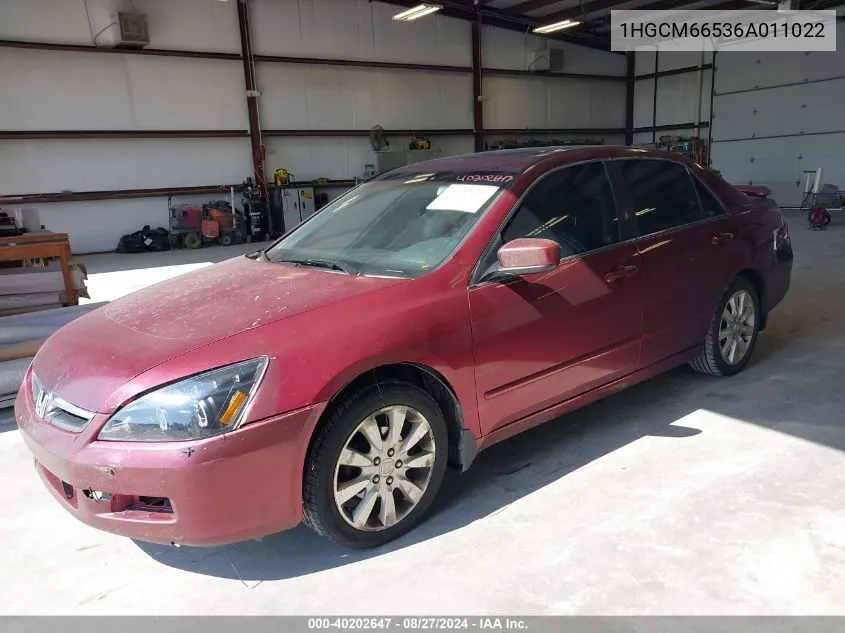 2006 Honda Accord 3.0 Ex VIN: 1HGCM66536A011022 Lot: 40202647