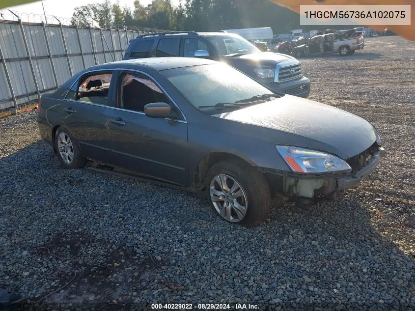 2006 Honda Accord 2.4 Ex VIN: 1HGCM56736A102075 Lot: 40229022