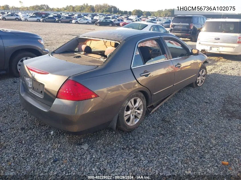 1HGCM56736A102075 2006 Honda Accord 2.4 Ex