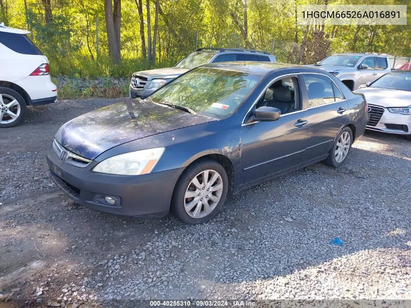 2006 Honda Accord 3.0 Ex VIN: 1HGCM66526A016891 Lot: 40255310