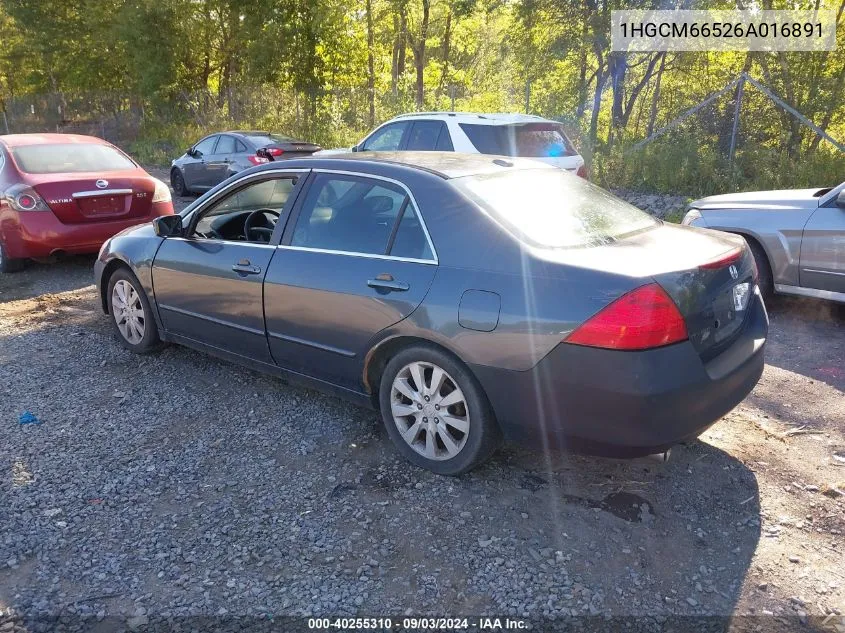 2006 Honda Accord 3.0 Ex VIN: 1HGCM66526A016891 Lot: 40255310