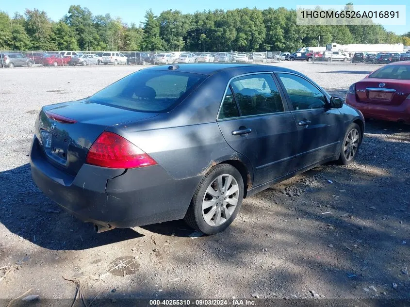 2006 Honda Accord 3.0 Ex VIN: 1HGCM66526A016891 Lot: 40255310