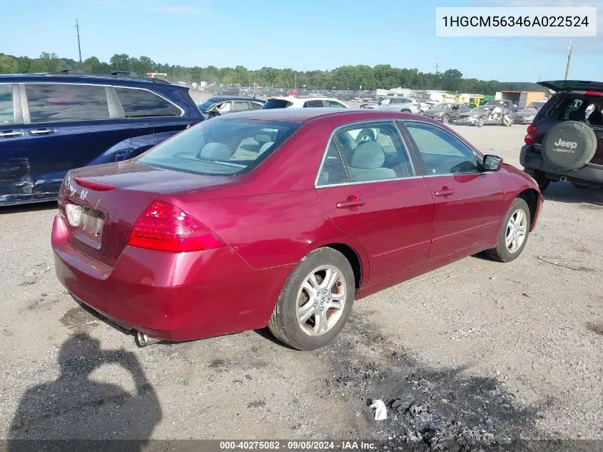 2006 Honda Accord Se VIN: 1HGCM56346A022524 Lot: 40275082