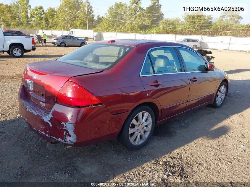 2006 Honda Accord Ex VIN: 1HGCM665X6A025306 Lot: 40282095