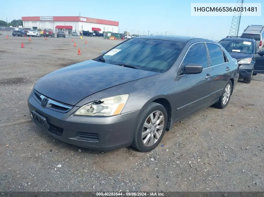 1HGCM66536A031481 2006 Honda Accord 3.0 Ex