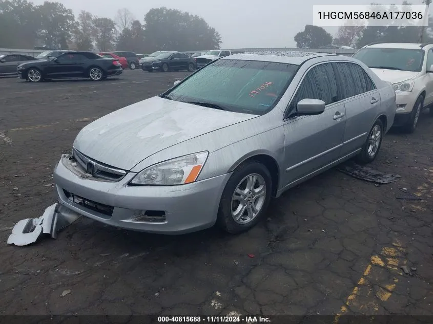 2006 Honda Accord 2.4 Ex VIN: 1HGCM56846A177036 Lot: 40815688