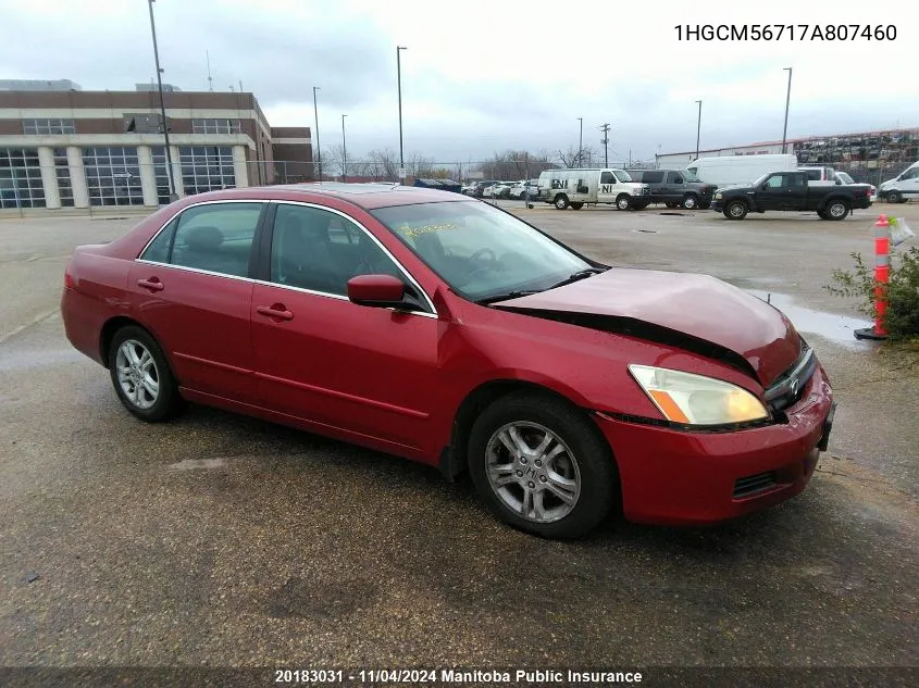 2007 Honda Accord Ex-L VIN: 1HGCM56717A807460 Lot: 20183031