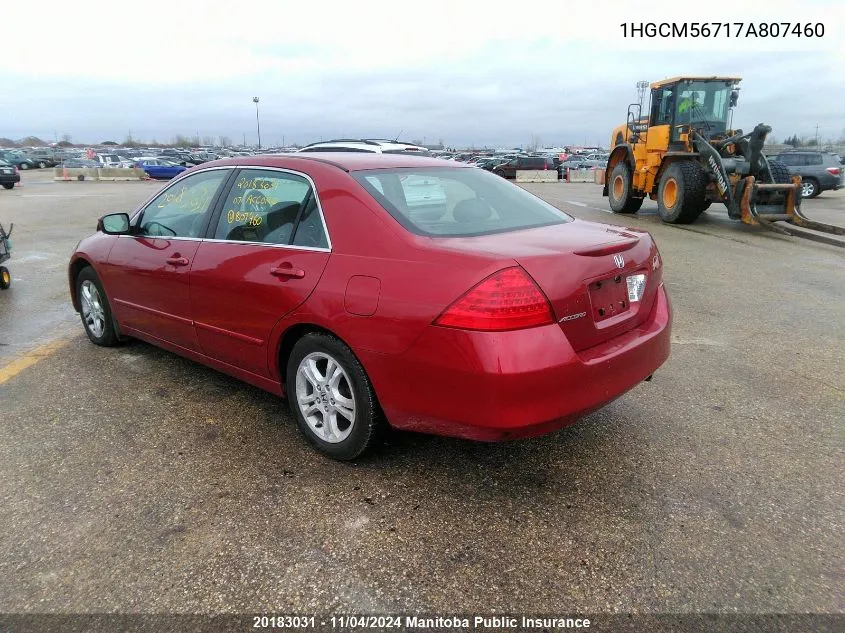 2007 Honda Accord Ex-L VIN: 1HGCM56717A807460 Lot: 20183031