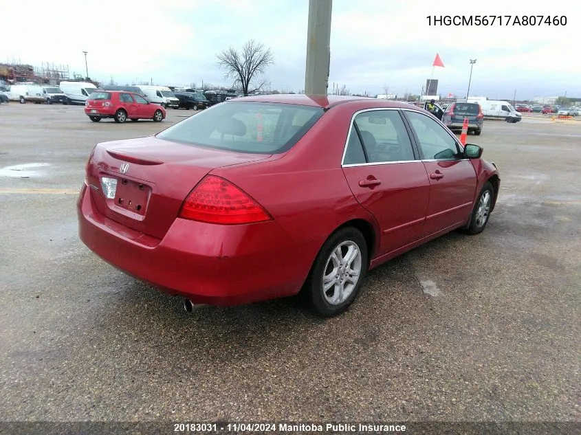 2007 Honda Accord Ex-L VIN: 1HGCM56717A807460 Lot: 20183031