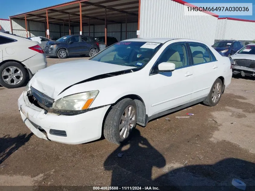 2007 Honda Accord 3.0 Se VIN: 1HGCM66497A030036 Lot: 40825588