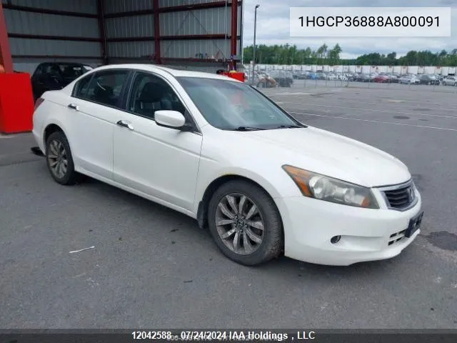 2008 Honda Accord Sdn VIN: 1HGCP36888A800091 Lot: 12042588