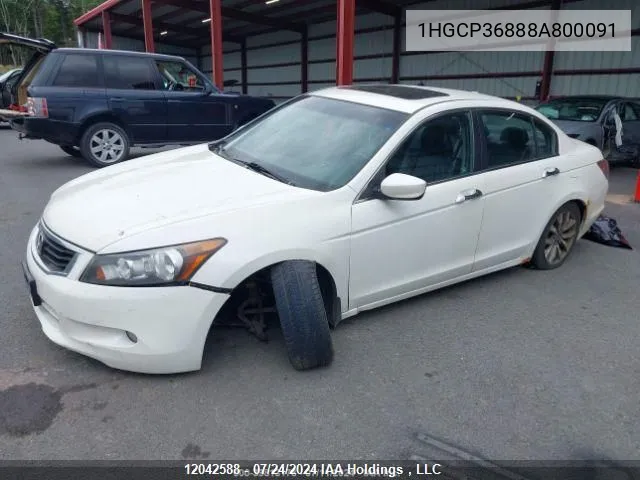 2008 Honda Accord Sdn VIN: 1HGCP36888A800091 Lot: 12042588