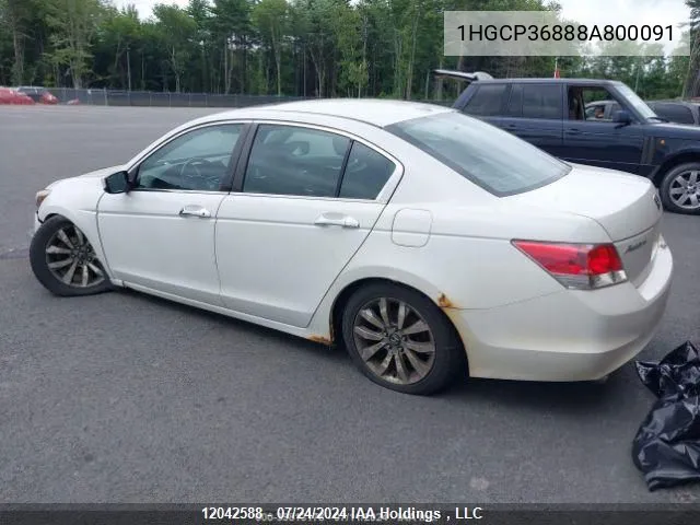 2008 Honda Accord Sdn VIN: 1HGCP36888A800091 Lot: 12042588