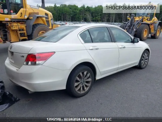 2008 Honda Accord Sdn VIN: 1HGCP36888A800091 Lot: 12042588