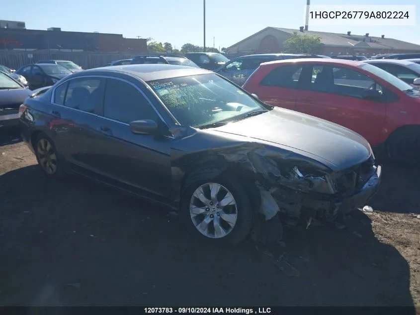 1HGCP26779A802224 2009 Honda Accord Sedan