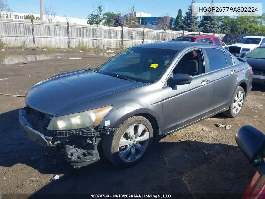 2009 Honda Accord Sedan VIN: 1HGCP26779A802224 Lot: 12073783