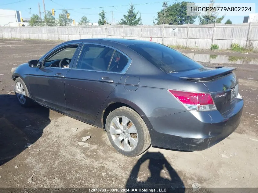 1HGCP26779A802224 2009 Honda Accord Sedan