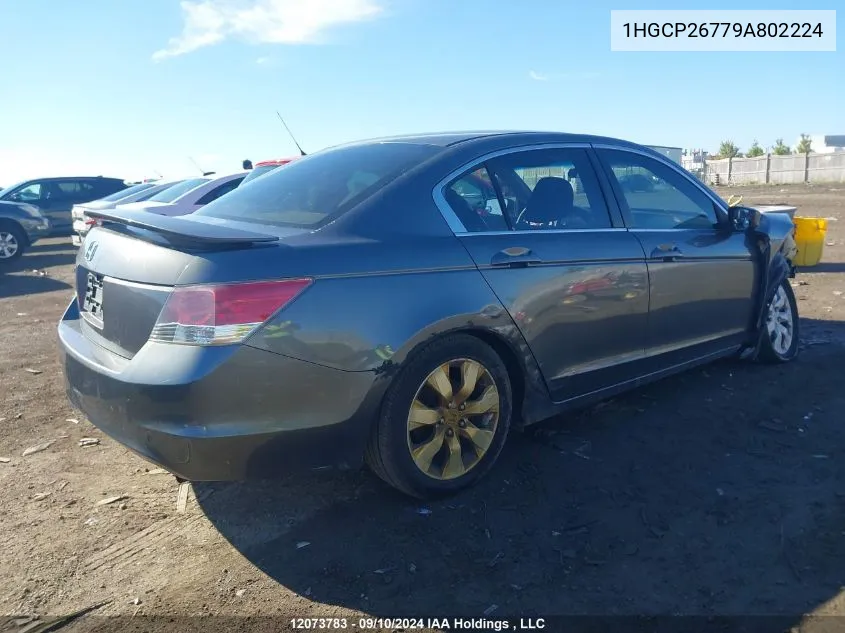 1HGCP26779A802224 2009 Honda Accord Sedan