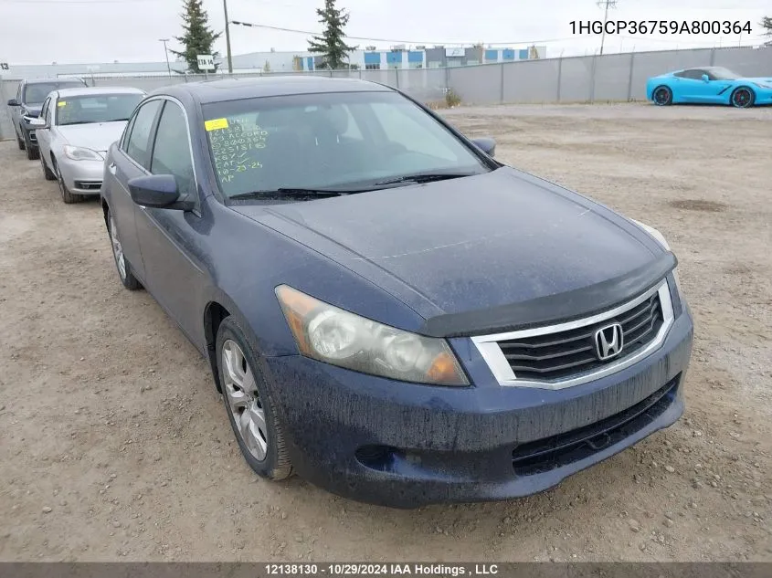 2009 Honda Accord Sedan VIN: 1HGCP36759A800364 Lot: 12138130