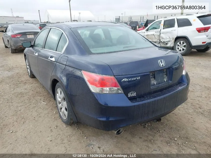 2009 Honda Accord Sedan VIN: 1HGCP36759A800364 Lot: 12138130