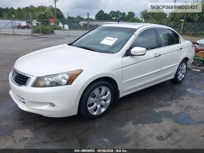 2009 Honda Accord 3.5 Ex-L VIN: 5KBCP36899B001431 Lot: 39870773