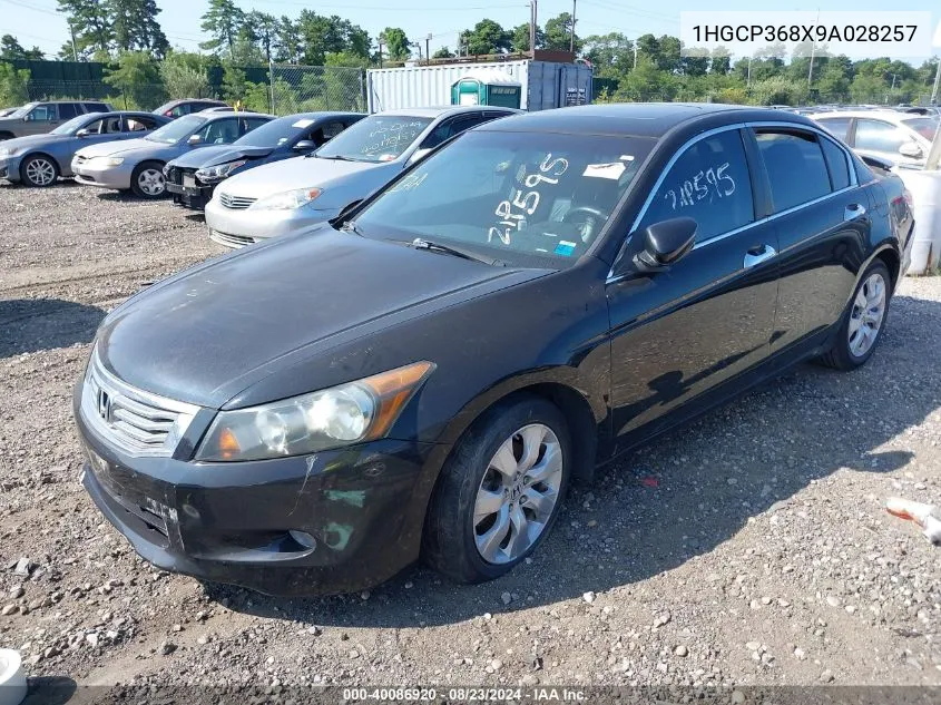 2009 Honda Accord 3.5 Ex-L VIN: 1HGCP368X9A028257 Lot: 40086920