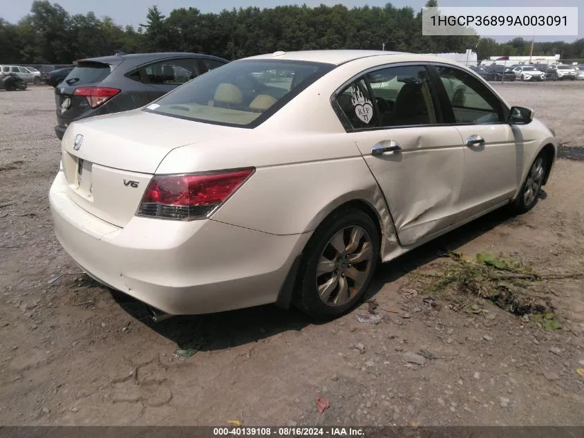 2009 Honda Accord 3.5 Ex-L VIN: 1HGCP36899A003091 Lot: 40139108