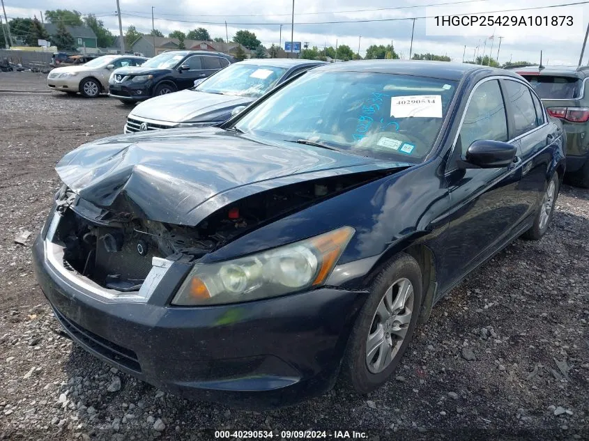 2009 Honda Accord 2.4 Lx-P VIN: 1HGCP25429A101873 Lot: 40290534