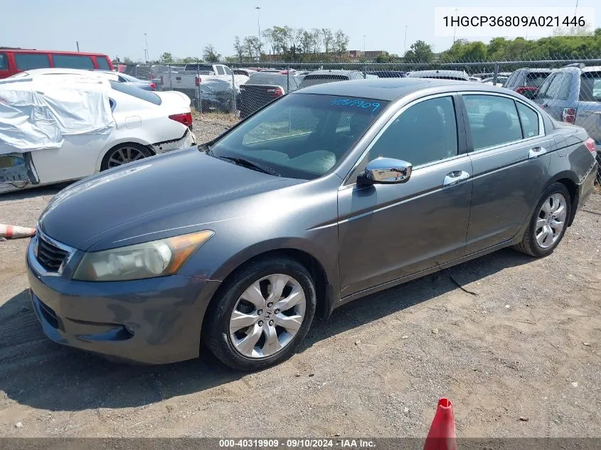 2009 Honda Accord 3.5 Ex-L VIN: 1HGCP36809A021446 Lot: 40319909