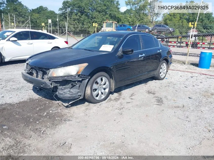 2009 Honda Accord Exl VIN: 1HGCP36849A029825 Lot: 40365756