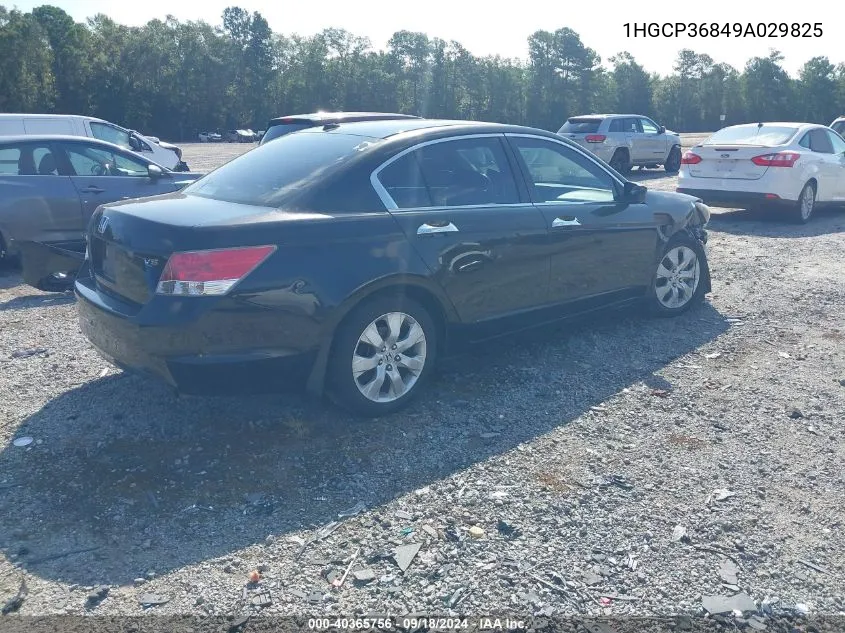 2009 Honda Accord Exl VIN: 1HGCP36849A029825 Lot: 40365756