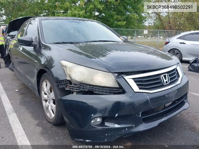 2009 Honda Accord 3.5 Ex-L VIN: 5KBCP36849B502291 Lot: 40376780