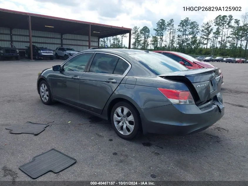 2009 Honda Accord 2.4 Ex-L VIN: 1HGCP26829A125902 Lot: 40487157