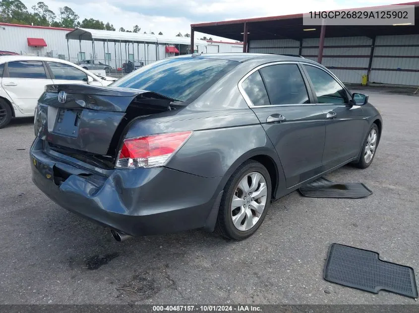 2009 Honda Accord 2.4 Ex-L VIN: 1HGCP26829A125902 Lot: 40487157