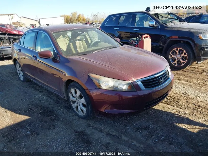 1HGCP26439A023683 2009 Honda Accord 2.4 Lx-P