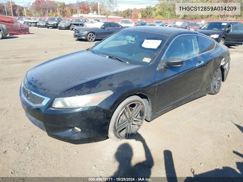 2009 Honda Accord 2.4 Ex-L VIN: 1HGCS12859A014209 Lot: 40679171