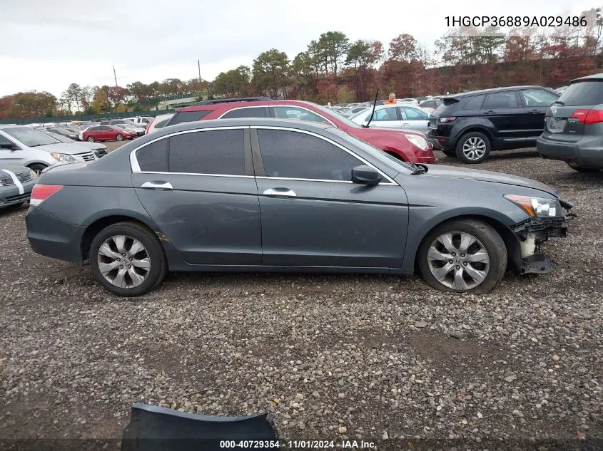 2009 Honda Accord 3.5 Ex-L VIN: 1HGCP36889A029486 Lot: 40729354