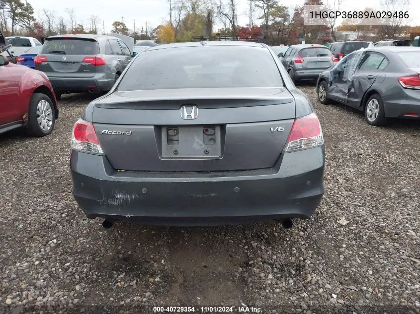 2009 Honda Accord 3.5 Ex-L VIN: 1HGCP36889A029486 Lot: 40729354