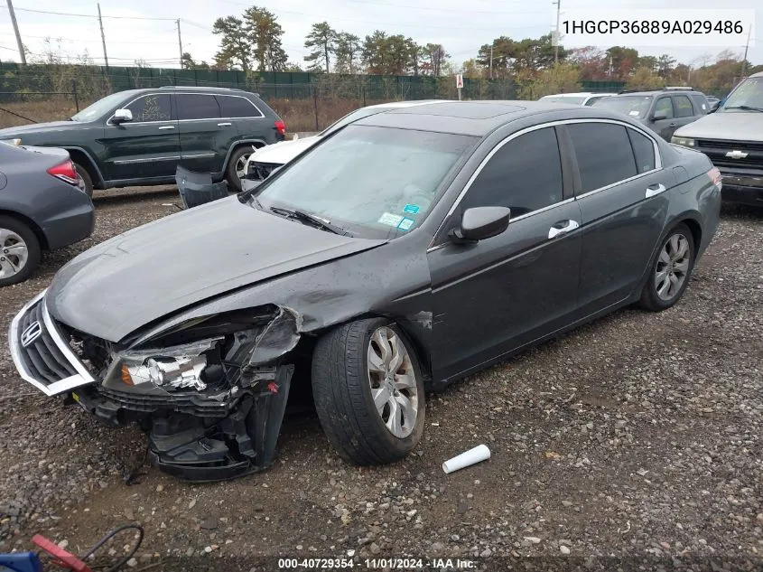 2009 Honda Accord 3.5 Ex-L VIN: 1HGCP36889A029486 Lot: 40729354