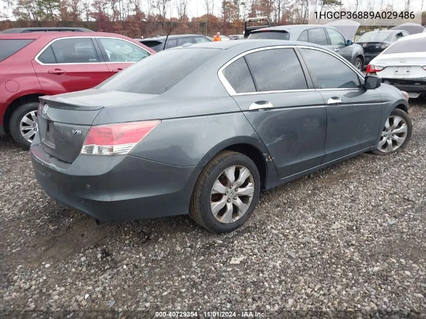 2009 Honda Accord 3.5 Ex-L VIN: 1HGCP36889A029486 Lot: 40729354